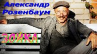 Зойка