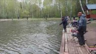Обзор с нижнего водоёма. Клёвое место, Лосиный остров.
