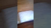 VID_20250503_124358.mp4