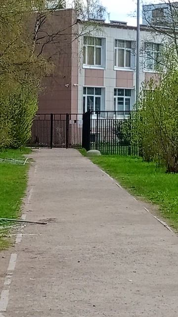 белочка