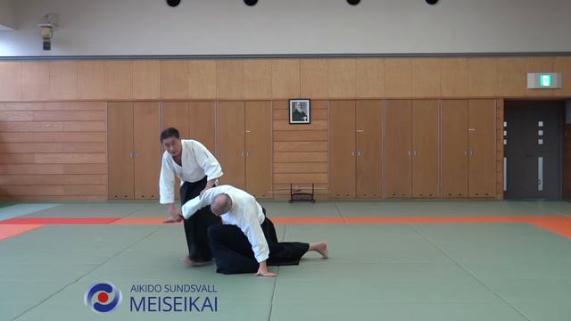 3 Aikido Katadorimenuchi Ikkyo Omote Shishiya Sensei Tokyo 2015