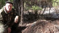 Отец рассказал старый таёжный способ против насекомых и клещей.