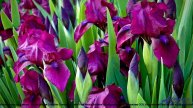 ❤ ♥ ❤ Клип, изменивший историю - For Sport Rock -- BlackTrendMusic -- Motivational Sport Music.mp4