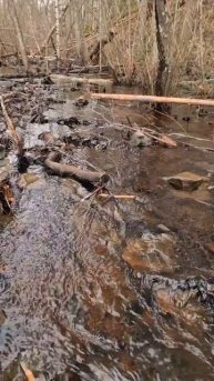 Карелия. Водопад Гирвас