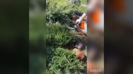 Стригу Можжевельник казацкий N 1
ГАЛИСАД ЧЕРЕПОВЕЦ