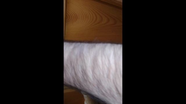 копчено-вареная грудинка