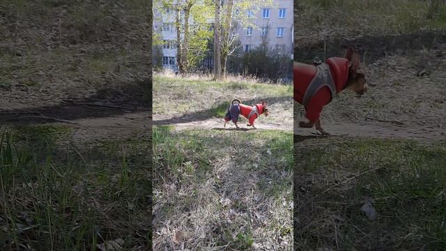 Ошалели от радости))