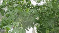 28.04.2025г. Самара