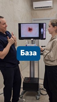 База