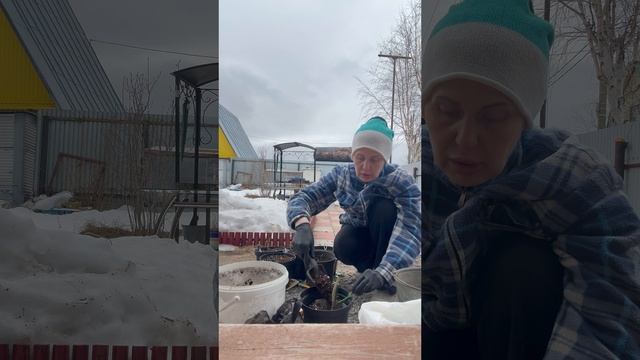 Всегда так проверяю розы 🌹