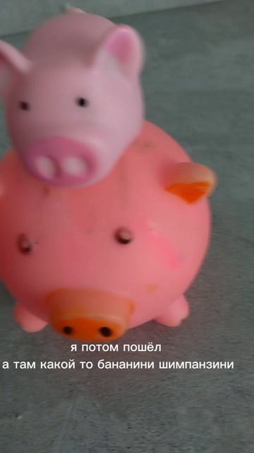 СВИЛИКОВ И ЗООПАРК