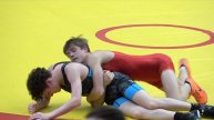 ВОЛЬНАЯ БОРЬБА. 0, 15. ФИНАЛ ЧЕМПИОНАТА.