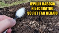 ОДНА ЛОЖКА НА ВЕДРО ВОДЫ и земля как новая! Пролейте этим землю для обильного урожая всего!