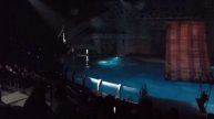 03-05-2025 Водное шоу Москвариум