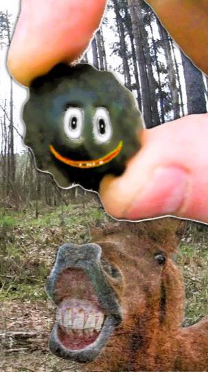 КОНИНА УЛЫБАЕТСЯ  #клад #копатель #коп #metaldetecting #находки #находкисметаллоискателем