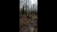 КВАДРАТ