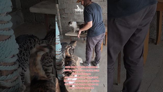 приезжайте в гости!