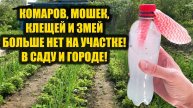 Забыла про Комаров Мошек Клещей и Змей навсегда на участке в саду и огороде!