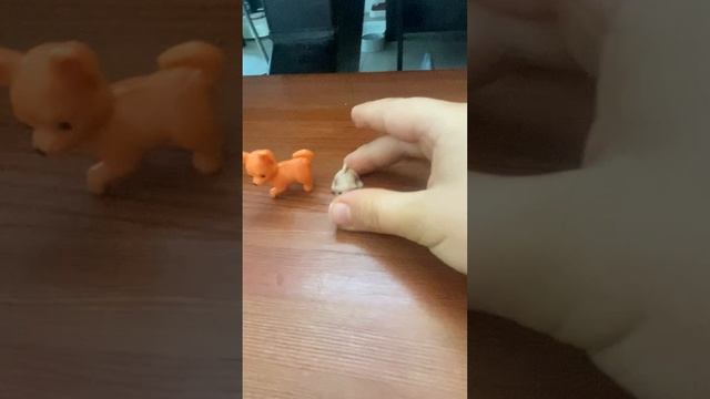 Ловите ЭКСПЕРИМЕНТ с ОРБИЗАМИ!!!