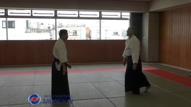 15 Aikido Katadorimenuchi Ikkyo Omote 4 Shishiya Sensei Tokyo 2015