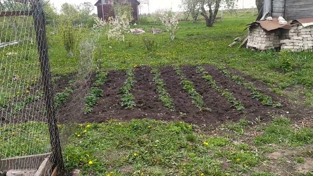 Новополянье! Отпуск продолжается!