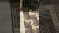 Очаровательный мальчик американского стаффордширского терьера