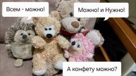 как плюшевые игрушки отдыхали