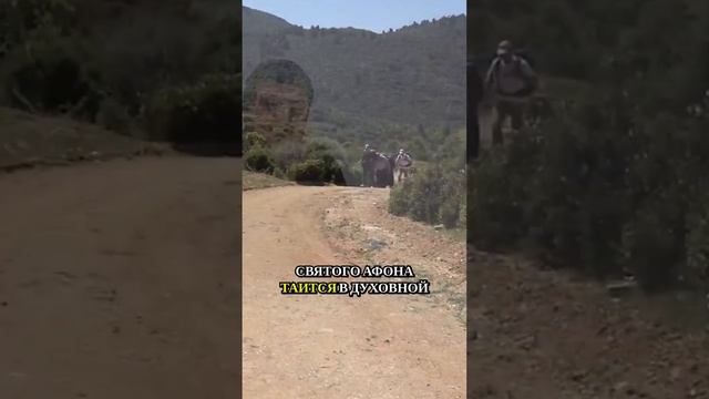 Паломничество, которое навсегда изменит вашу внутреннюю жизнь