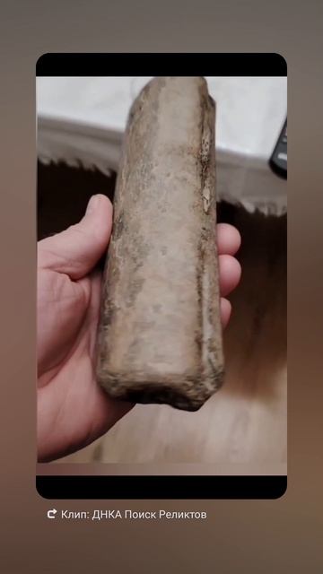 Предположительно ребро цетория 🔥🔥🔥