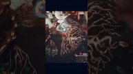 Корит вас во всем !