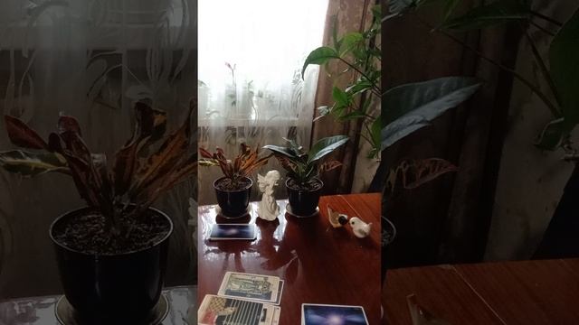 Таро.Кто к вам проявится.
