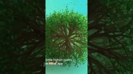444 Hz Активируйте Сердечную Чакру Частота Духовного Исцеления
