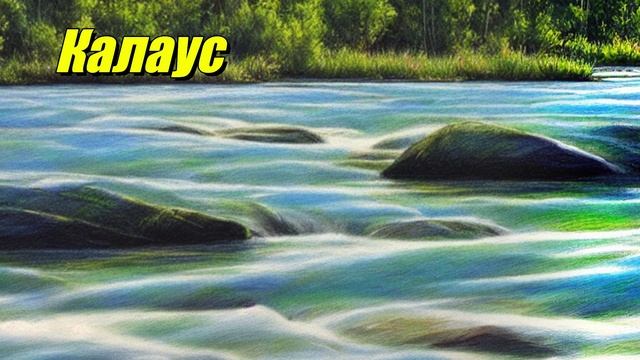 Калаус