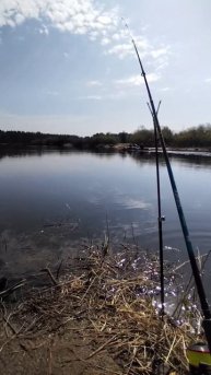 Весенняя рыбалка на лесной реке.