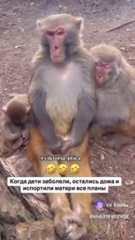 1000093856.mp4
