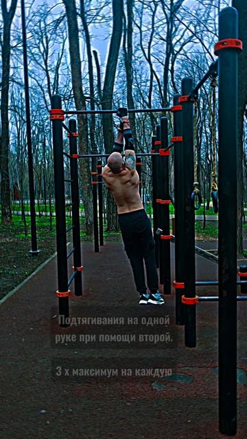 Сильные руки и мощная спина #nogymworkout #спорт #shorts