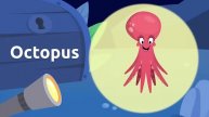 sea creatures