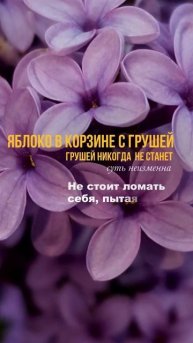 Послание дня.