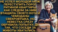 Истории из жизни Сразу после свадьбы, свекровь заявилась с Аудио рассказы Жизненные истории