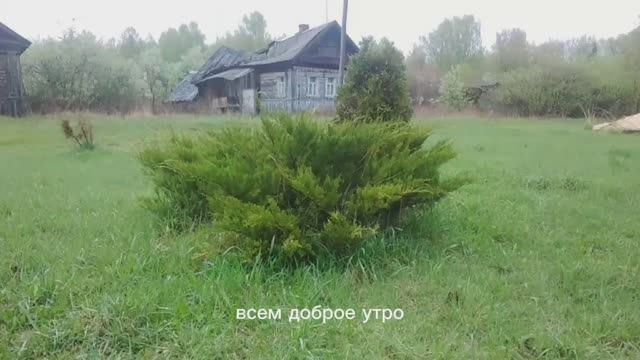 Выход в свет и новоселье