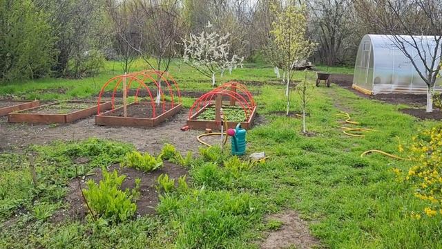 ЧТО БУДЕТ С РЕМОНТОМ? КАКИЕ ДАЛЬНЕЙШИЕ ПЛАНЫ