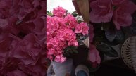 1000052274.mp4