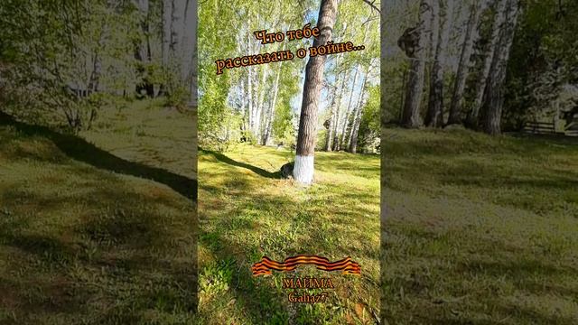 Что тебе рассказать о войне...