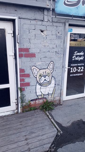 #dogs #art #street