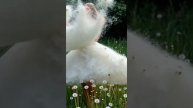 Яркие бутоны-стихи Ивушка