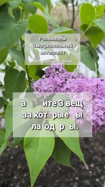 Челлендж. Задание 1