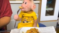 Обезьянка ест ПИРОГ С МЯСОМ ВИЛКОЙ Умница Воспитанная СМЕШНАЯ КАК ДЕТЁ