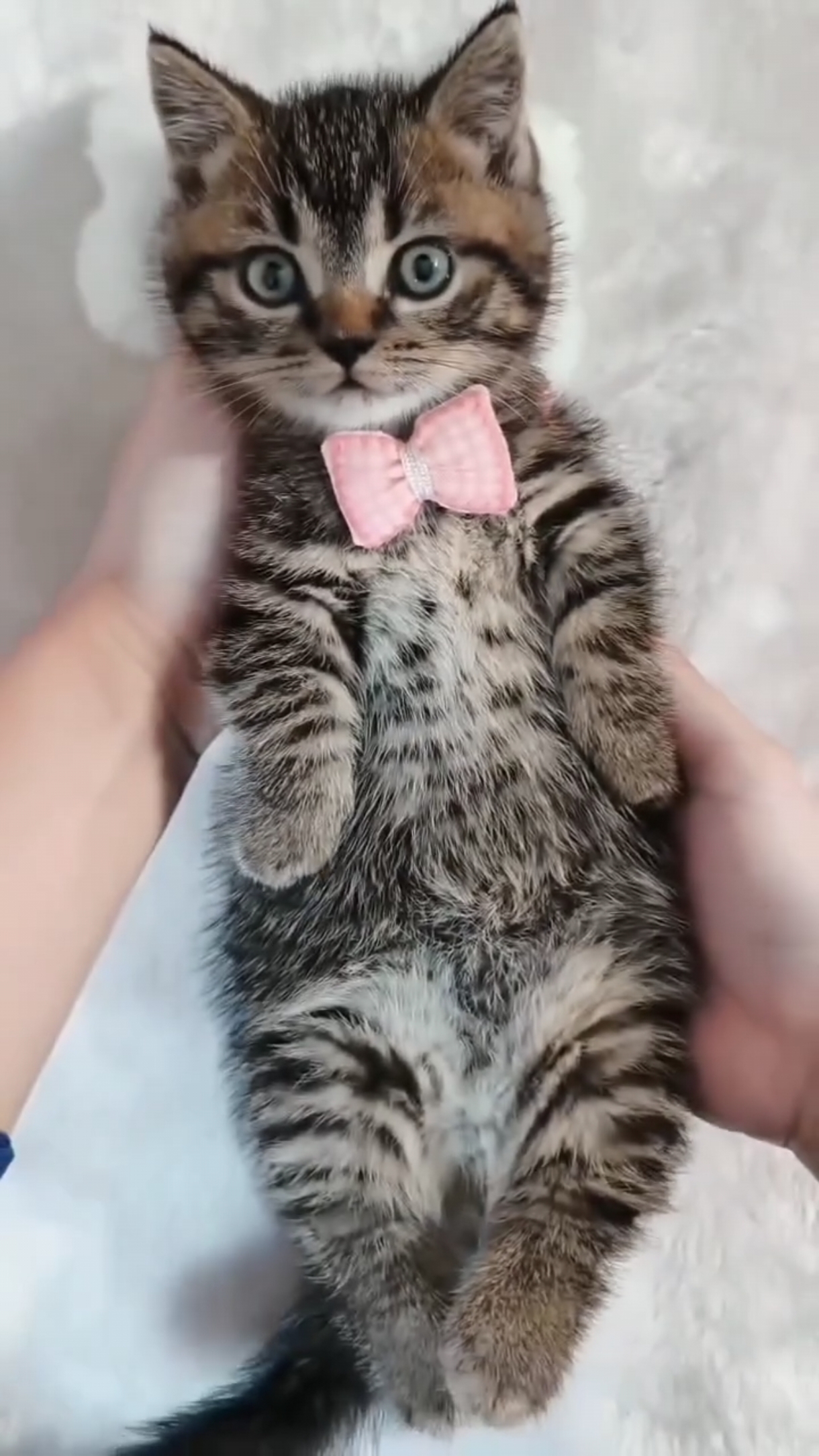 Кото пилинг