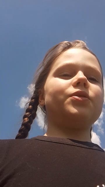 хай бичес