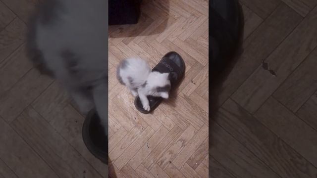 1000040450.mp4